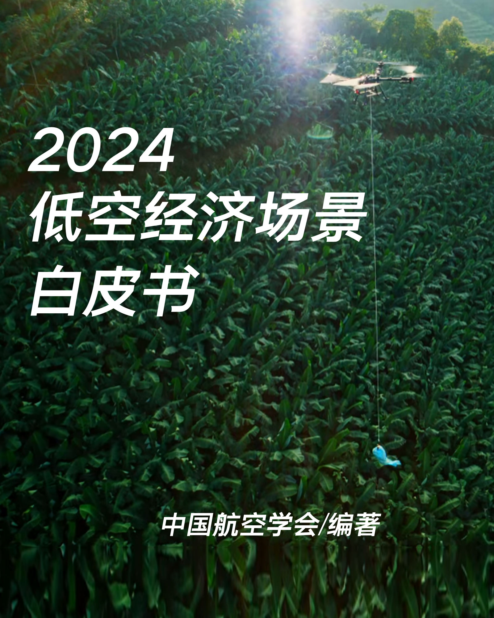 低空经济场景白皮书