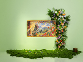 华为Vision智慧屏 6图赏：浅草初风，一屏藏春