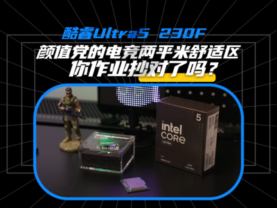 颜值党的电竞两平米舒适区你作业抄对了吗？