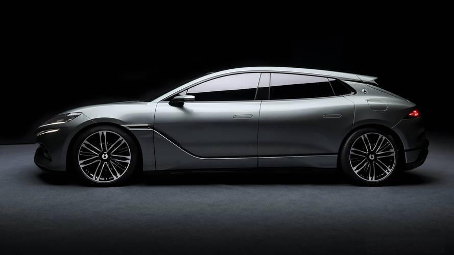 Which brands of new energy vehicles will experience positive growth in the future?-HeadTechPro