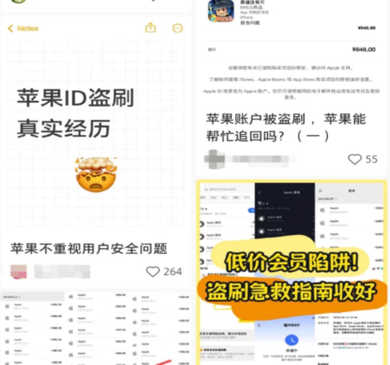网友自制苹果ID遭盗刷急救指南09