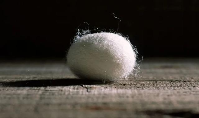 There is no such thing as' algorithm opposition ', you just want to hide in the' cocoon room '-HeadTechPro